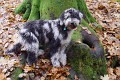 image_10_DSC00657-2